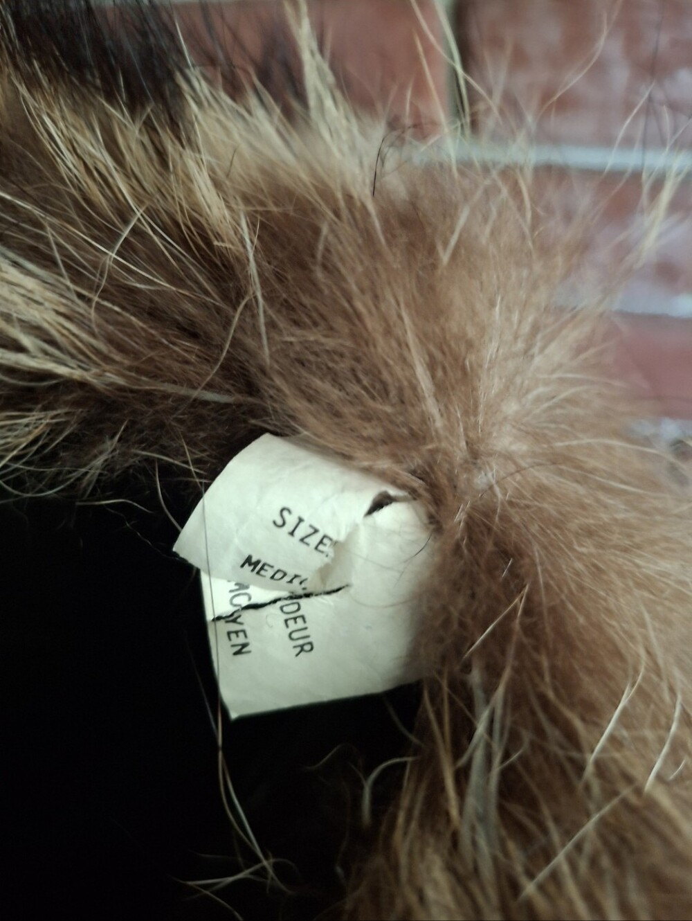Vintage Racoon Hat - Picture 6 of 7